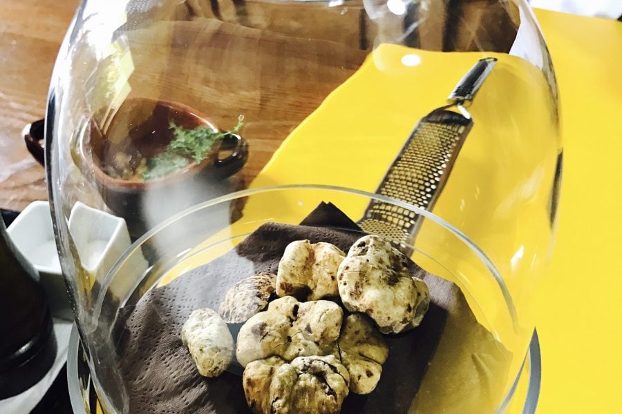 Truffles in Tuscany
