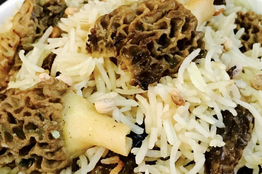 Morels / Guchchi Pulao