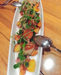 43 North - Scallops