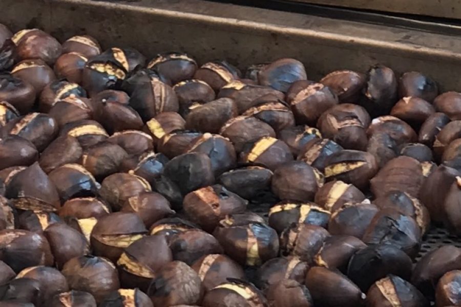 Roasted Chestnuts