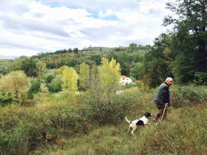 Truffles in Tuscany