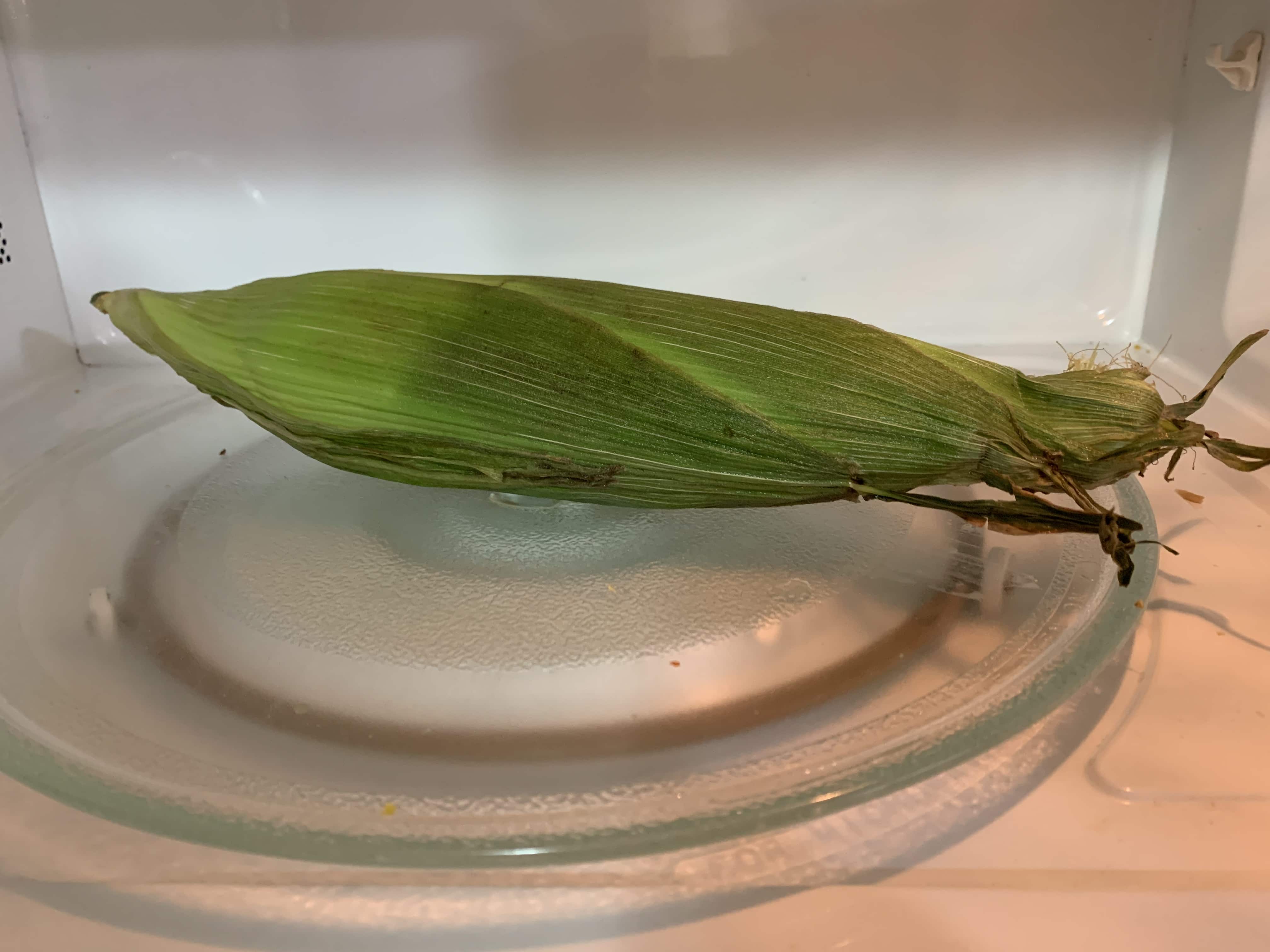 Microwaving corn in its husk to get evenly cooked and quick results for grilled corn or bhutta or kanis